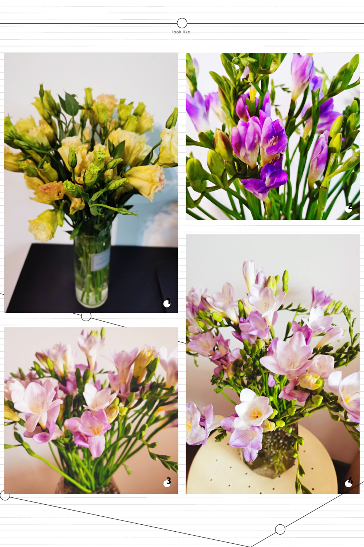 Happy Women’s Day | 戰(zhàn)疫時(shí)期，這個(gè)三八節(jié)，我們“e”起過！